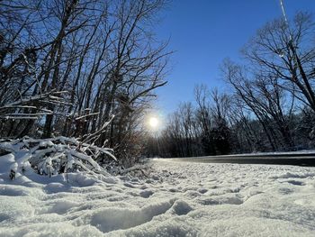 Bare trees on snow covered field against bright sun