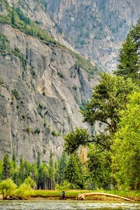 Scenic view of mountain