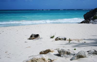 Scenic view of beach against sky