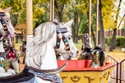 A merry-round-go carousel horse close up in autumn park. old wooden retro carousel