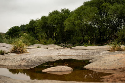 Scenic view of lake in forest against sky