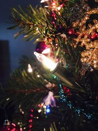 Low angle view of illuminated christmas tree at night