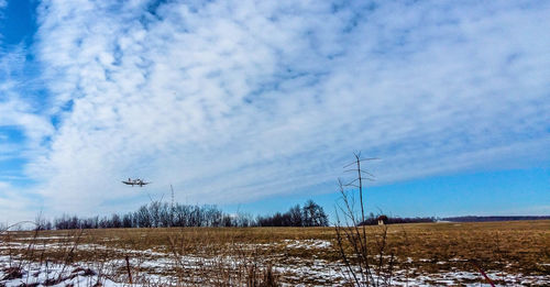 Scenic view of field against blue sky