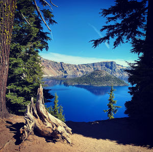 Scenic view of lake and trees against blue sky