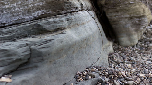 Stack of rocks