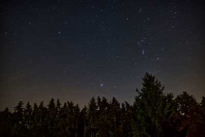 Low angle view of trees against sky at night