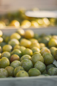 Close-up of blueberries