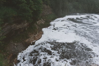 Scenic view of river flowing amidst trees