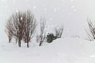 Snow covered landscape