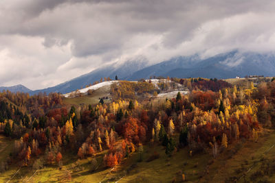 Scenic view of landscape against sky during autumn