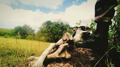 Statue on field against sky