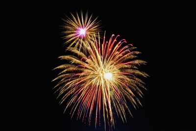 Low angle view of firework display at night