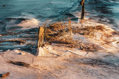 High angle view of rocks on beach