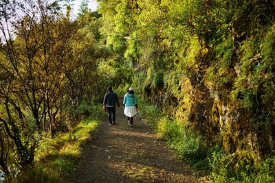 Rear view of woman walking on footpath
