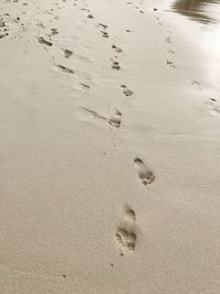 High angle view of footprints on sand at beach