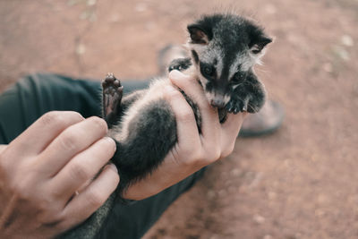 Close-up of hand holding baby