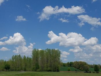 Trees on field against sky