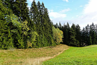 Trees on field against sky on rennsteig germany