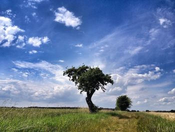 Trees on field against cloudy sky