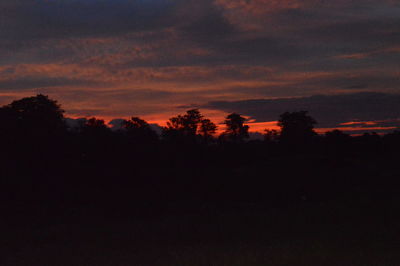 Silhouette trees in forest against sky at sunset