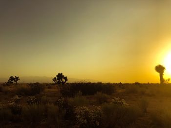 Scenic view of field against clear sky during sunset