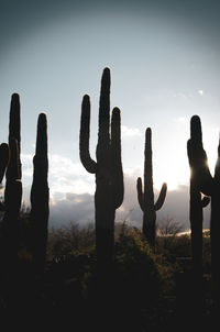 Silhouette people at sunset