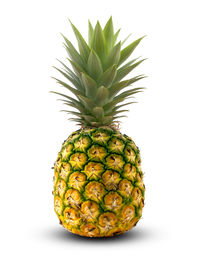 Close-up of fruit against white background