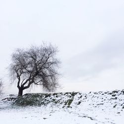 snow
