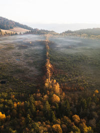 Aerial view of trees on landscape