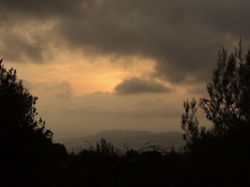 Silhouette trees on landscape against sky at sunset