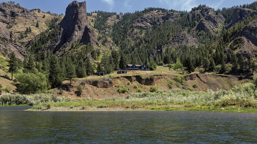 Scenic view of lake in forest