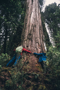 Midsection of man and woman on tree trunk in forest