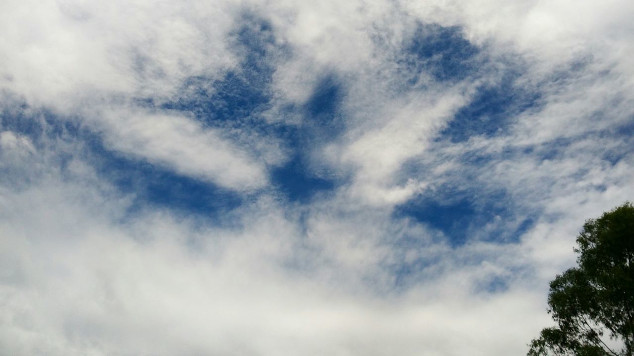 low angle view, sky, cloud - sky, tranquility, beauty in nature, cloudy, scenics, nature, tree, tranquil scene, cloud, cloudscape, backgrounds, idyllic, day, outdoors, white color, sky only, no people, weather