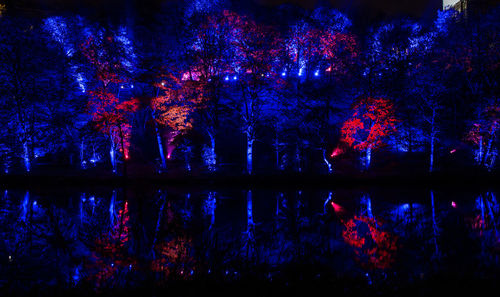 Illuminated trees against sky at night