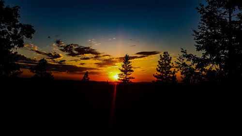 Silhouette trees against sky during sunset