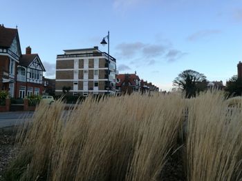 Houses on field against sky