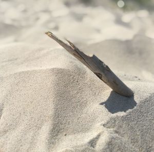 Shadow of people on beach