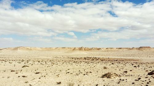 Scenic view of desert against sky