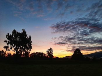 Silhouette trees on field against sky at sunset