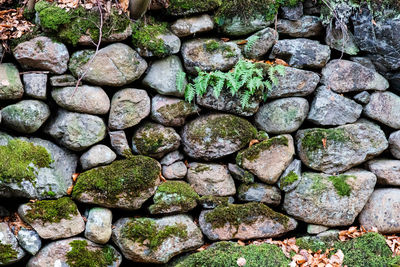 Full frame shot of stones