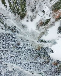 High angle view of trees on snow covered landscape