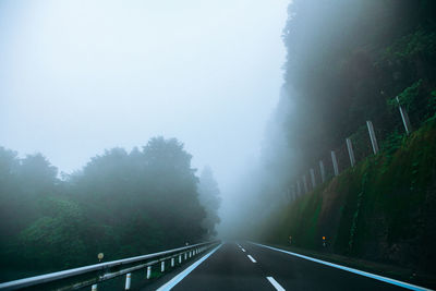 Road passing through forest