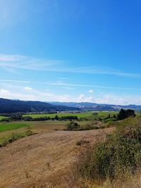 Scenic view of field against blue sky