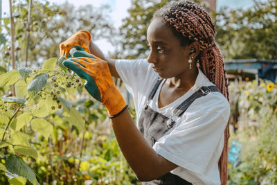 Young female environmentalist examining plant in urban farm