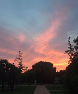 Silhouette trees against sky during sunset