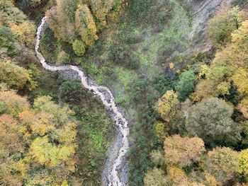 High angle view of waterfall in forest