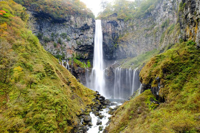 Scenic view of waterfall in forest