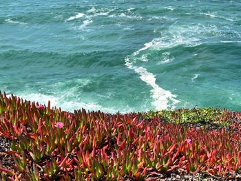 Scenic view of sea