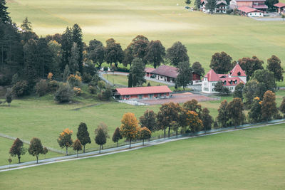 Trees and houses on field