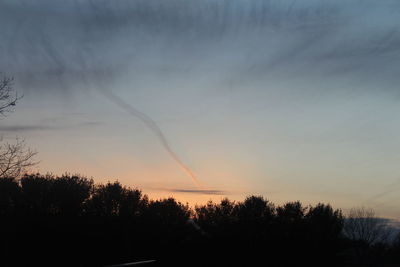 Silhouette of trees against sky during sunset